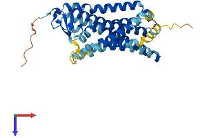 AlphaFold protein structure predicition of Human Recombinant OR51S1 Protein, UniprotID Q8NGJ8 (OR51S1 Protein (AA 1-323) (His tag))