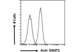 Flow Cytometry (FACS) image for anti-Diacylglycerol O-Acyltransferase 1 (DGAT1) (Internal Region) antibody (ABIN190886)
