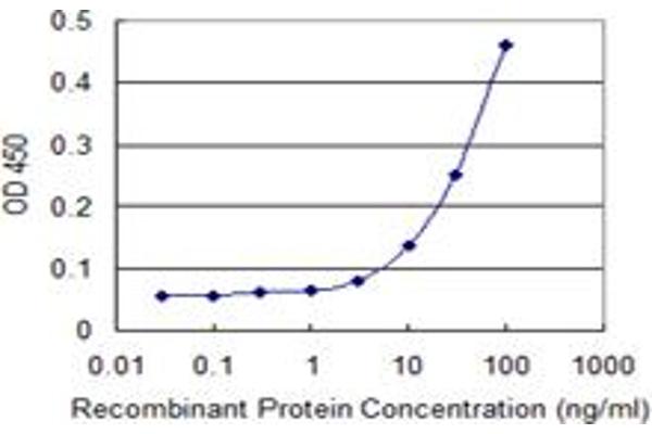 PRM1 antibody  (AA 1-51)