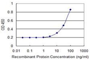 Detection limit for recombinant GST tagged MTRF1 is 1 ng/ml as a capture antibody. (MTRF1 antibody  (AA 1-100))