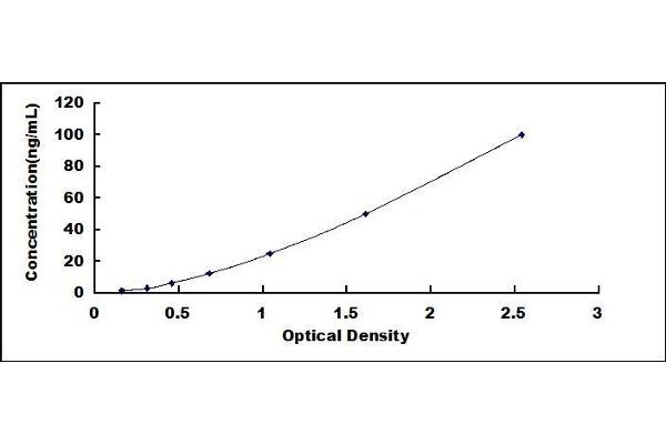 Transferrin Receptor 2 ELISA Kit