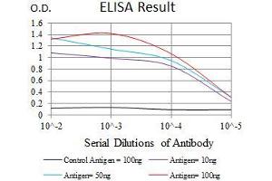 Black line: Control Antigen (100 ng), Purple line: Antigen(10 ng), Blue line: Antigen (50 ng), Red line: Antigen (100 ng), (TP53BP1 antibody  (AA 574-773))