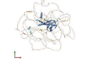 AlphaFold protein structure predicition of Human Recombinant AFF4 Protein, UniprotID Q9UHB7