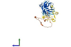 Protein Structure (PS) image for phospholipid Scramblase 1 (PLSCR1) (AA 1-318) protein (His tag) (ABIN7554982)