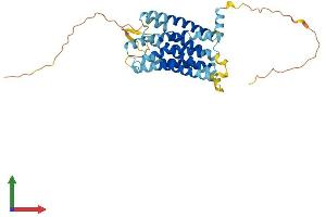 Protein Structure (PS) image for Chemokine (C-C Motif) Receptor-Like 2 (CCRL2) (AA 1-360) protein (His tag) (ABIN7562323)
