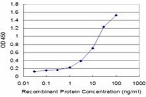 Detection limit for recombinant GST tagged CREBL1 is approximately 1ng/ml as a capture antibody. (ATF6B antibody  (AA 2-88))
