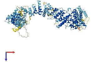 AlphaFold protein structure predicition of Human Recombinant GEMIN4 Protein, UniprotID P57678 (GEMIN4 Protein (AA 1-1058) (His tag))