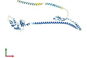 AlphaFold protein structure predicition of Human Recombinant TRIM59 Protein, UniprotID Q8IWR1 (TRIM59 Protein (AA 1-403) (His tag))