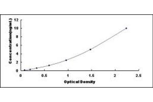 GADD45A ELISA Kit