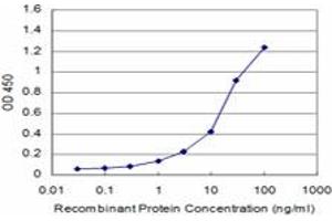 Detection limit for recombinant GST tagged CD34 is approximately 1ng/ml as a capture antibody. (CD34 antibody  (AA 32-141))