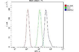 Flow Cytometry analysis of A549 cells using anti-MMP28 antibody (ABIN7599865). (MMP28 antibody  (AA 123-505))