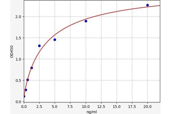 Tryptophan Hydroxylase 1 ELISA Kit