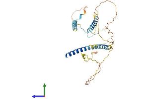 AlphaFold protein structure predicition of Mouse Recombinant Mff Protein, UniprotID Q6PCP5