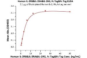 Immobilized Biotinylated Human IL-2, His,Avitag (ABIN6938917,ABIN6950990) at 1 μg/mL (100 μL/well) on streptavidin precoated (0. (IL-2 R beta & IL-2 R alpha & IL-2 R gamma (AA 22-212), (AA 23-254), (AA 27-239) (Active) protein (Fc Tag))