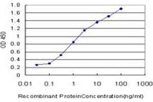 Detection limit for recombinant GST tagged PTF1A is approximately 0. (PTF1A antibody  (AA 250-328))