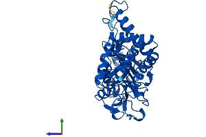 AlphaFold protein structure predicition of Mouse Recombinant Psat1 Protein, UniprotID Q99K85 (PSAT1 Protein (AA 1-370) (His tag))