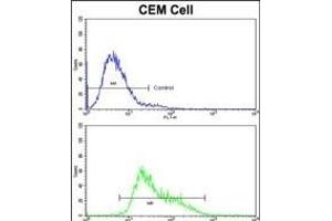 Flow cytometric analysis of CEM cells using IGHA1 Antibody (C-term)(bottom histogram) compared to a negative control cell (top histogram). (IGHA1 antibody  (C-Term))