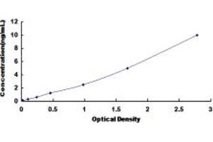 NTSR2 ELISA Kit