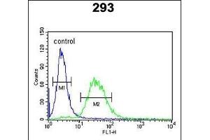 F10 Antibody (C-term) (ABIN390688 and ABIN2840978) flow cytometric analysis of 293 cells (right histogram) compared to a negative control cell (left histogram). (Coagulation Factor X antibody  (C-Term))