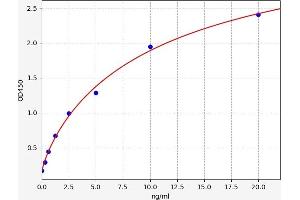Typical standard curve (FBP2 ELISA Kit)