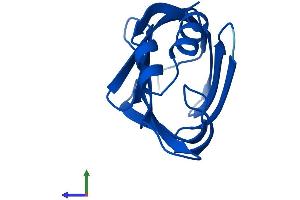 Protein Structure (PS) image for Cellular Retinoic Acid Binding Protein 2 (CRABP2) (AA 1-138) protein (His tag) (ABIN7562972)