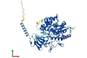 AlphaFold protein structure predicition of Mouse Recombinant Cyp7b1 Protein, UniprotID Q60991 (CYP7B1 Protein (AA 1-507) (His tag))