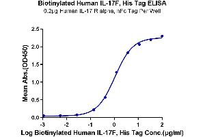 Immobilized Human IL-17 R alpha, hFc Tag at 2 μg/mL (100 μL/well) on the plate. (IL17F Protein (His-Avi Tag,Biotin))