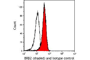 Flow Cytometry (FACS) image for anti-Bromodomain Containing 2 (BRD2) (AA 700-750) antibody (ABIN7795619)