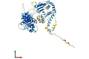 AlphaFold protein structure predicition of Mouse Recombinant Ddx56 Protein, UniprotID Q9D0R4 (DDX56 Protein (AA 1-546) (His tag))