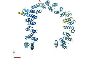AlphaFold protein structure predicition of Human Recombinant UTP6 Protein, UniprotID Q9NYH9 (UTP6 Protein (AA 1-597) (His tag))