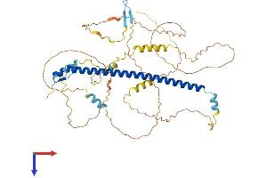 ATF2 Protein (AA 1-487) (His tag)