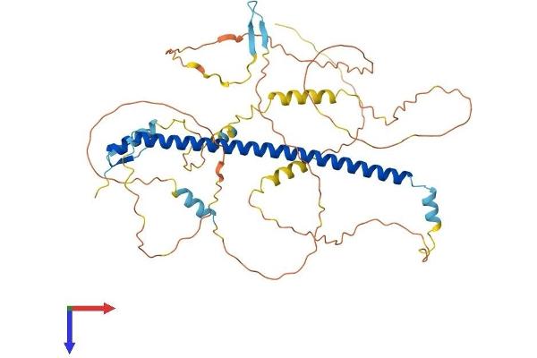 ATF2 Protein (AA 1-487) (His tag)