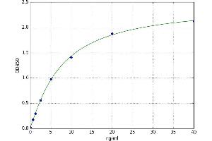 Aldehyde Oxidase 1 (AOX1) ELISA Kit