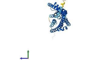 AlphaFold protein structure predicition of Human Recombinant OR2D3 Protein, UniprotID Q8NGH3 (OR2D3 Protein (AA 1-330) (His tag))