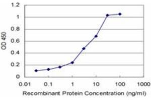 Detection limit for recombinant GST tagged PTF1A is approximately 0. (PTF1A antibody  (AA 250-328))