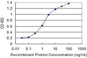 Detection limit for recombinant GST tagged SOX9 is 0. (SOX9 antibody  (AA 400-509))