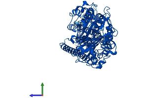 Protein Structure (PS) image for Arachidonate 5-Lipoxygenase (ALOX5) (AA 1-674) protein (His tag) (ABIN7549093)