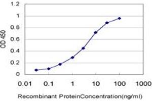 Detection limit for recombinant GST tagged ARAF is approximately 0. (ARAF antibody  (AA 151-250))