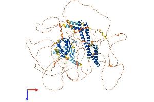 Pleckstrin Homology Domain Containing, Family A Member 7 (PLEKHA7) (AA 1-1118) protein (His tag)