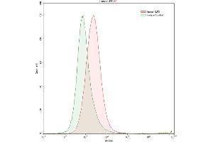 Detection of ILF3 in K562 human chronic myelogenous leukemia cell line using Anti-Interleukin Enhancer Binding Factor 3 (ILF3) Polyclonal Antibody (Interleukin enhancer-binding factor 3 (ILF3) (AA 672-891) antibody)