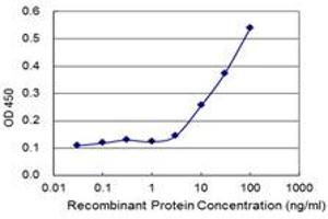Detection limit for recombinant GST tagged MOCOS is 1 ng/ml as a capture antibody. (MOCOS antibody  (AA 1-888))