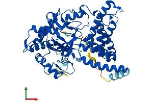AlphaFold protein structure predicition of Human Recombinant SMYD1 Protein, UniprotID Q8NB12 (SMYD1 Protein (AA 1-490) (His tag))