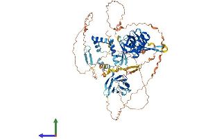 AlphaFold protein structure predicition of Mouse Recombinant Dnaaf2 Protein, UniprotID Q8BPI1 (DNAAF2 Protein (AA 1-814) (His tag))