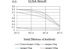 Black line: Control Antigen (100 ng),Purple line: Antigen (10 ng), Blue line: Antigen (50 ng), Red line:Antigen (100 ng) (CKM antibody  (AA 1-381))