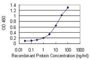 Detection limit for recombinant GST tagged RNF170 is 0. (RNF170 antibody  (AA 121-193))