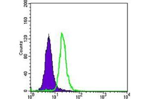Flow cytometric analysis of SK-BR-3 cells using SCGB2A2 mouse mAb (green) and negative control (purple). (Mammaglobin A antibody)