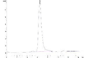 Size-exclusion chromatography-High Pressure Liquid Chromatography (SEC-HPLC) image for Tumor Necrosis Factor Receptor Superfamily, Member 8 (TNFRSF8) (AA 19-379) protein (His-Avi Tag) (ABIN7274157)