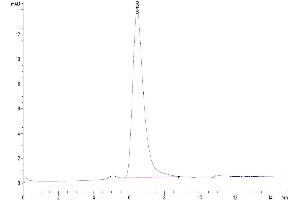 The purity of Human CD30 is greater than 95 % as determined by SEC-HPLC. (TNFRSF8 Protein (AA 19-379) (His-Avi Tag))