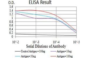 Black line: Control Antigen (100 ng);Purple line: Antigen (10ng); Blue line: Antigen (50 ng); Red line:Antigen (100 ng) (SOD2 antibody  (AA 1-222))
