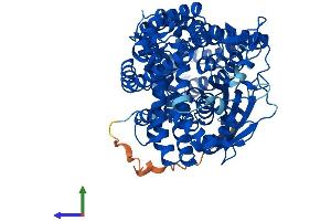 Protein Structure (PS) image for Thimet Oligopeptidase 1 (THOP1) (AA 1-689) protein (His tag) (ABIN7544436)